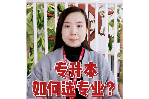 专升本如何选专业？