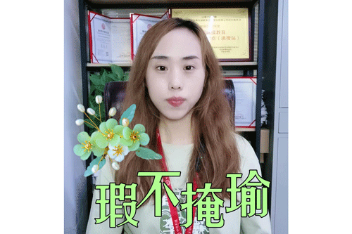 瑕不掩瑜