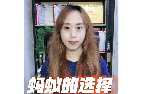 蚂蚁的选择